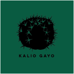 t-shirt-cactus-kaliogayo